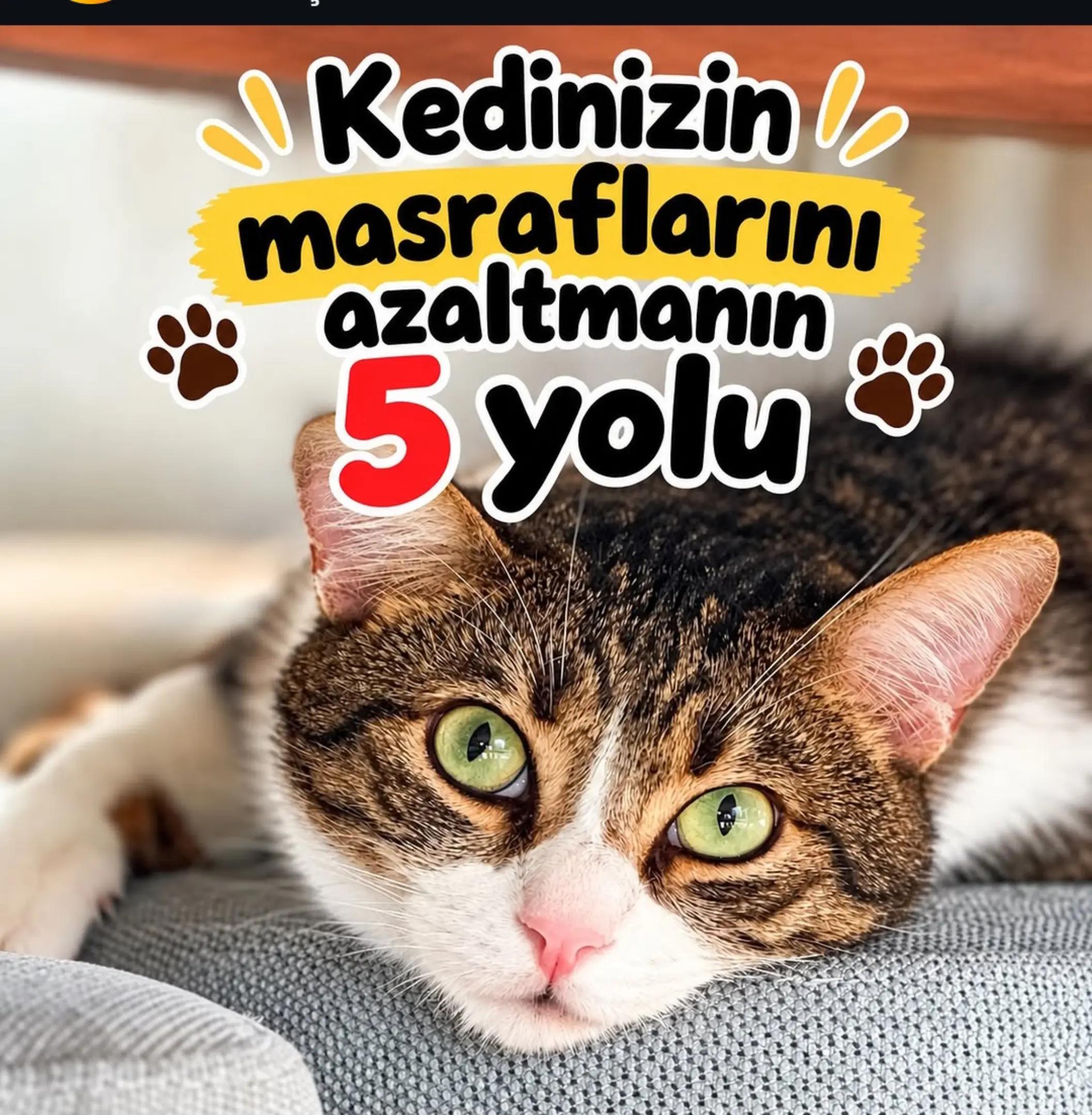 @tezcan_tekbas