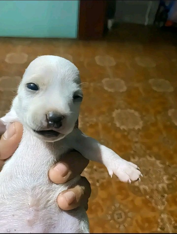 @𝑇𝐸𝑅𝑅𝐴𝐷