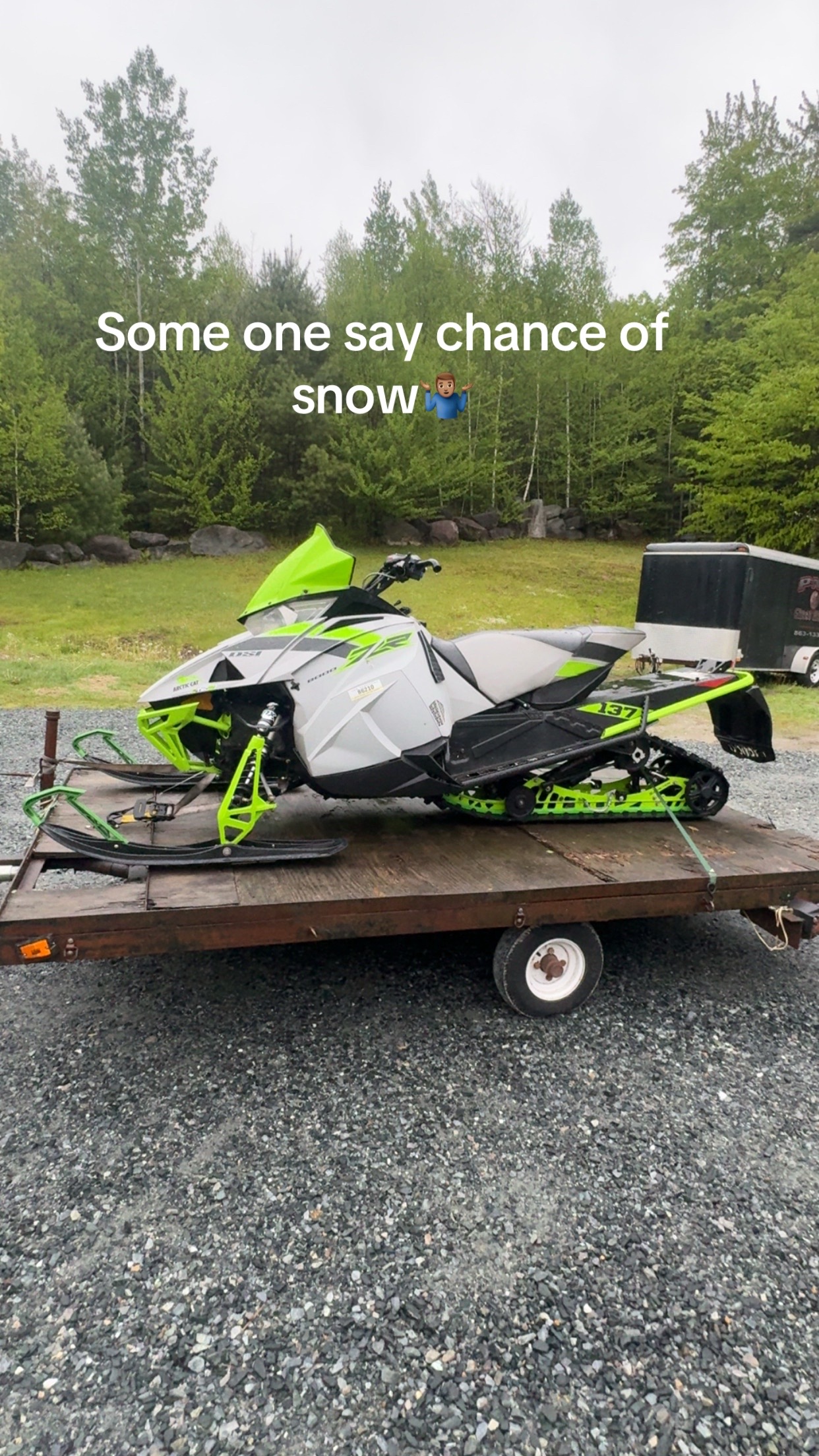 @Arcticcatmatt