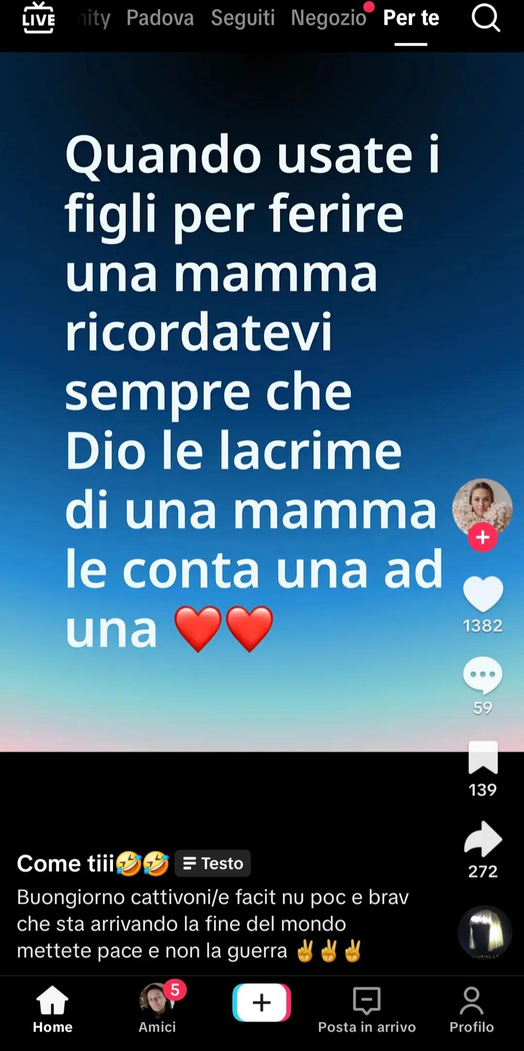 @anna andretta