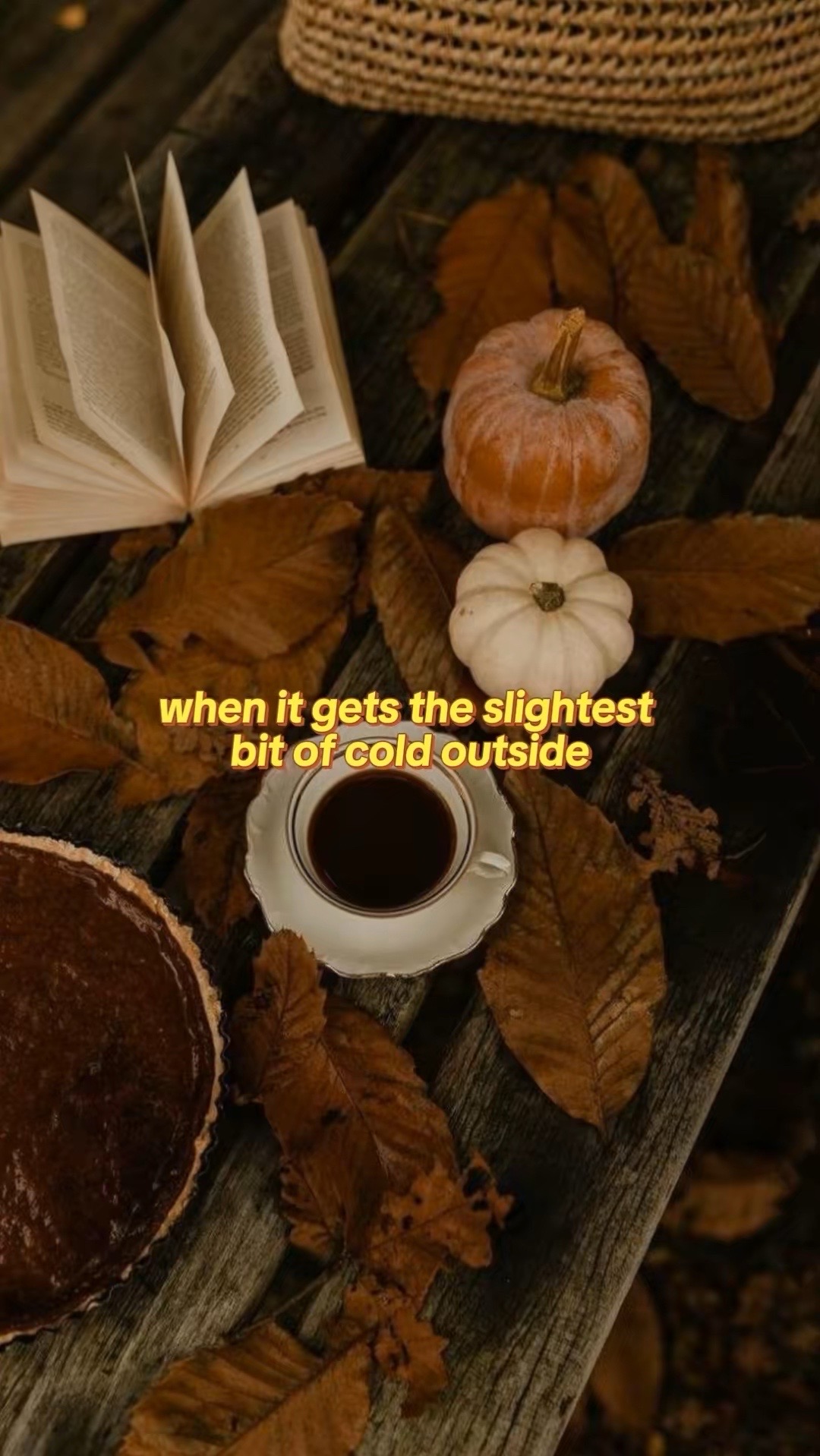 @Dom ✨