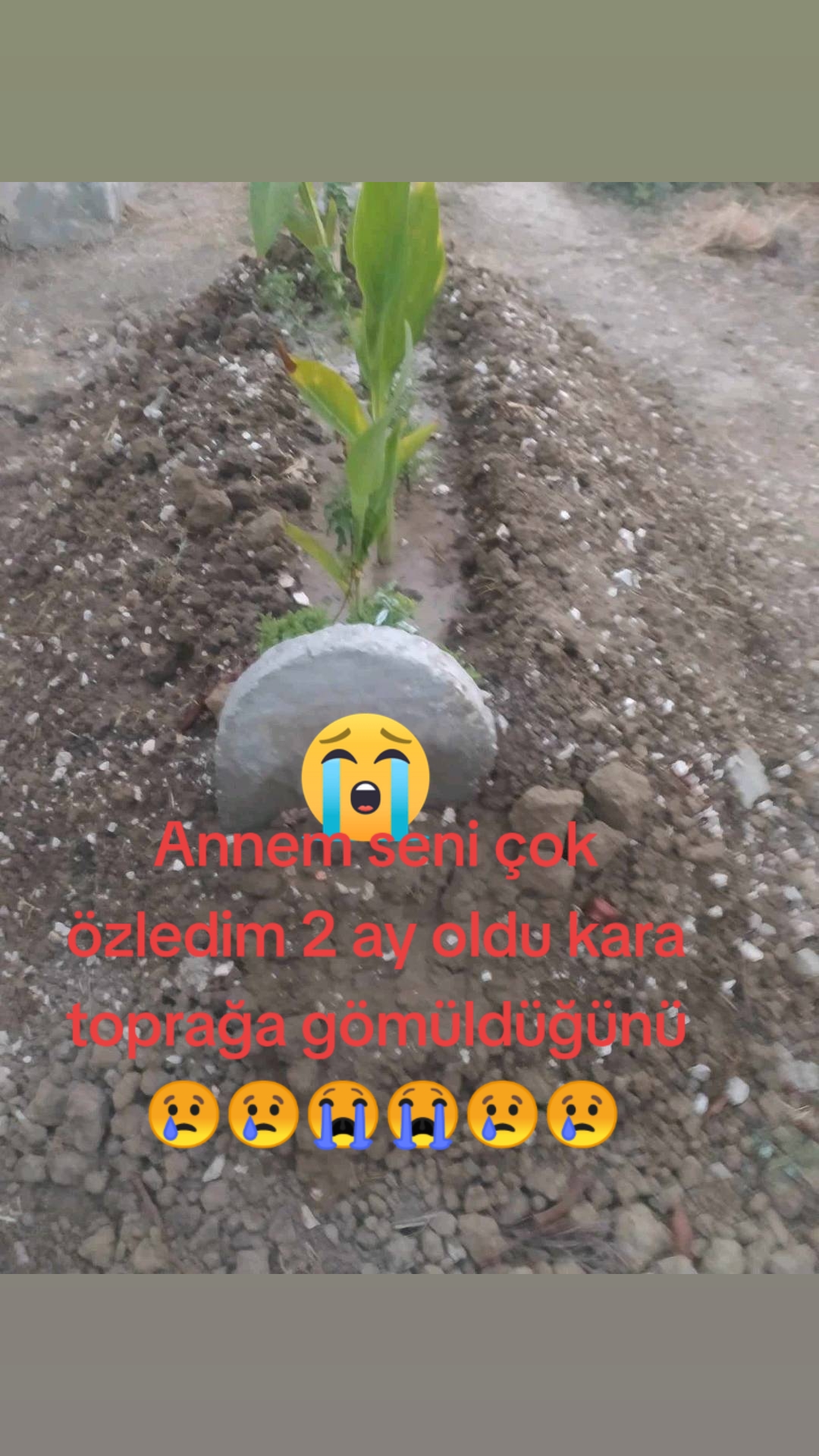 @HATAYLI.HALİT🇹🇷🇹🇷🇹🇷🇹🇷