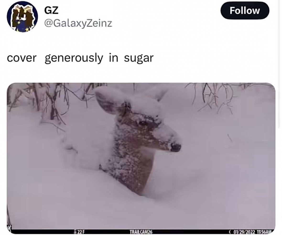 @kristina