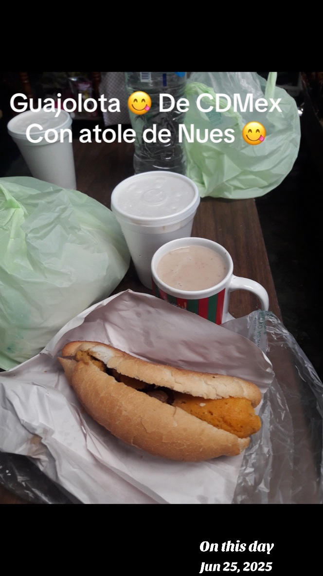 @soyXol888