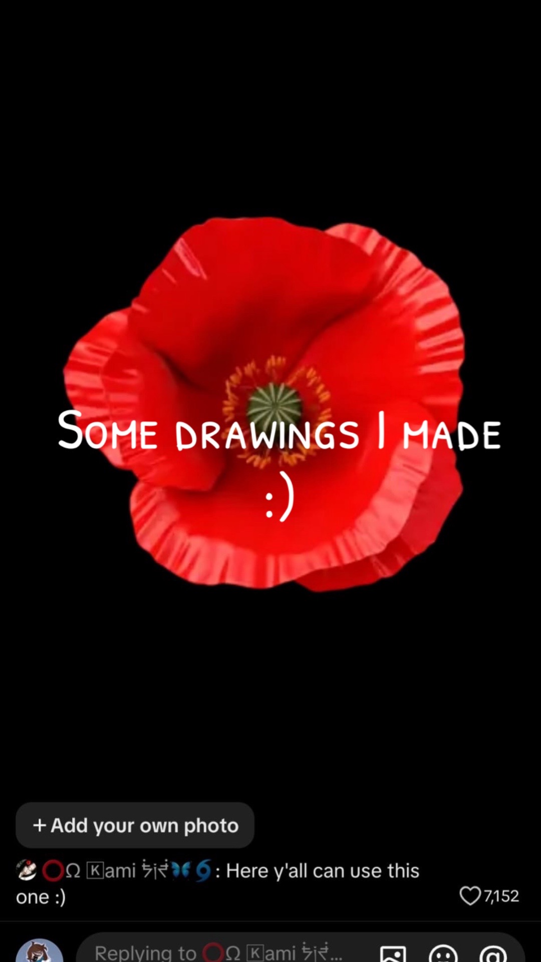 @Ms. Moon yorkie