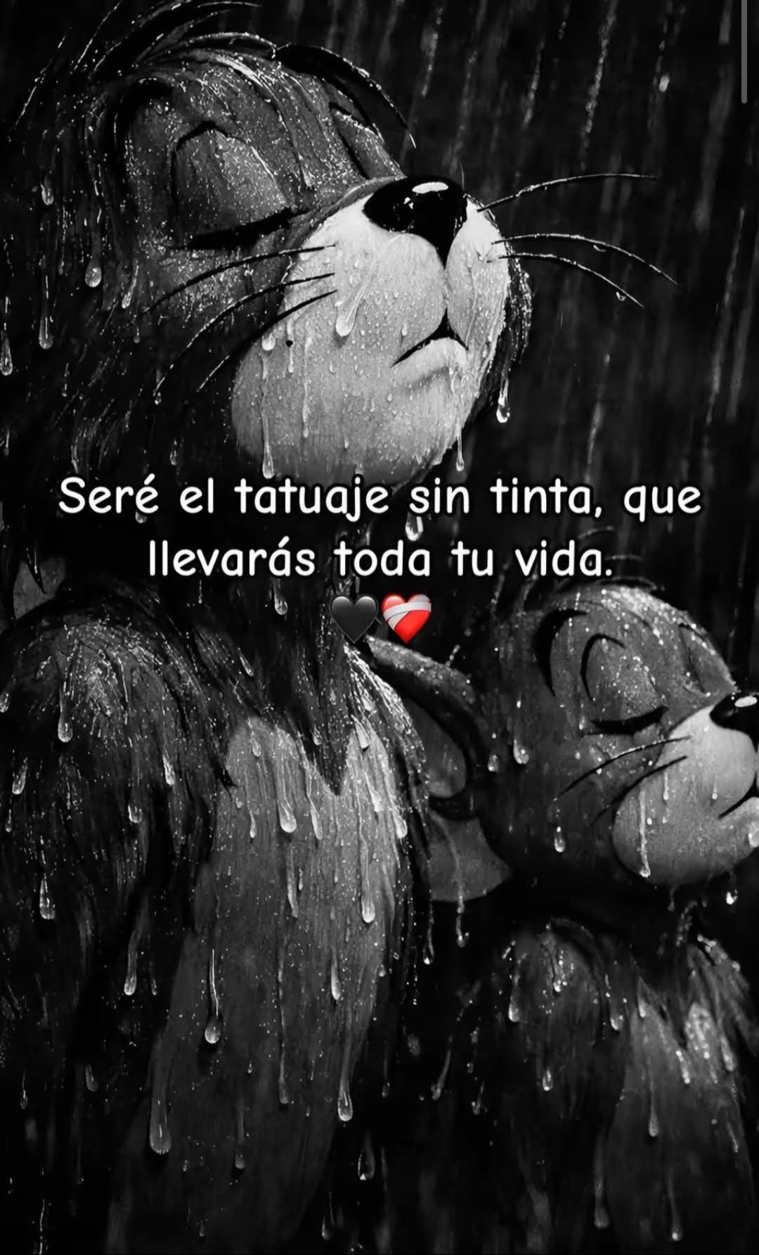 @Jero🐺🐾