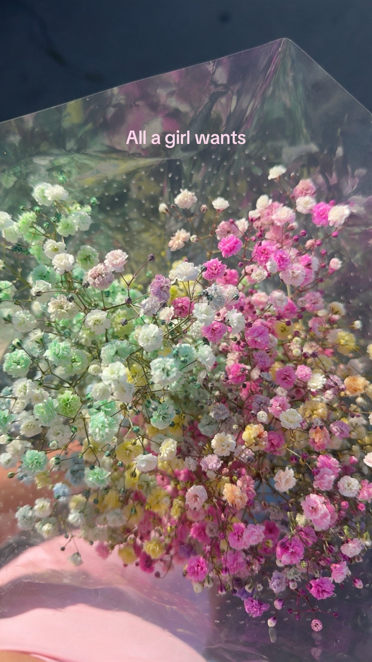 @rainbowmatchacake