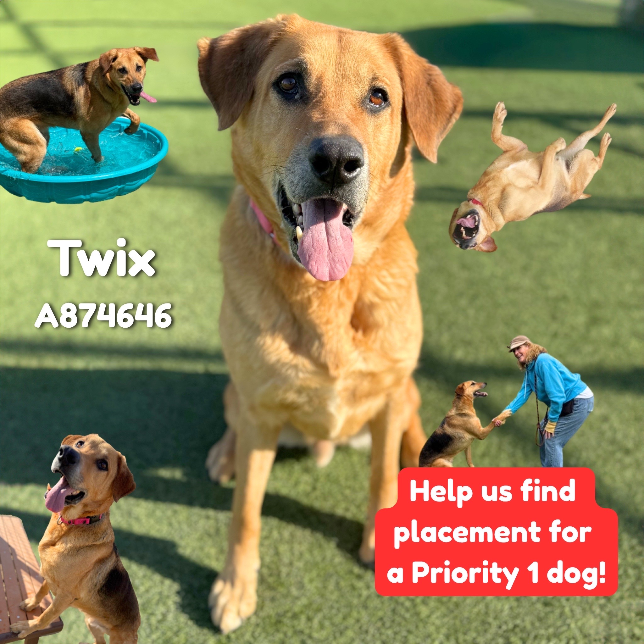 @Ventura County Animal Services
