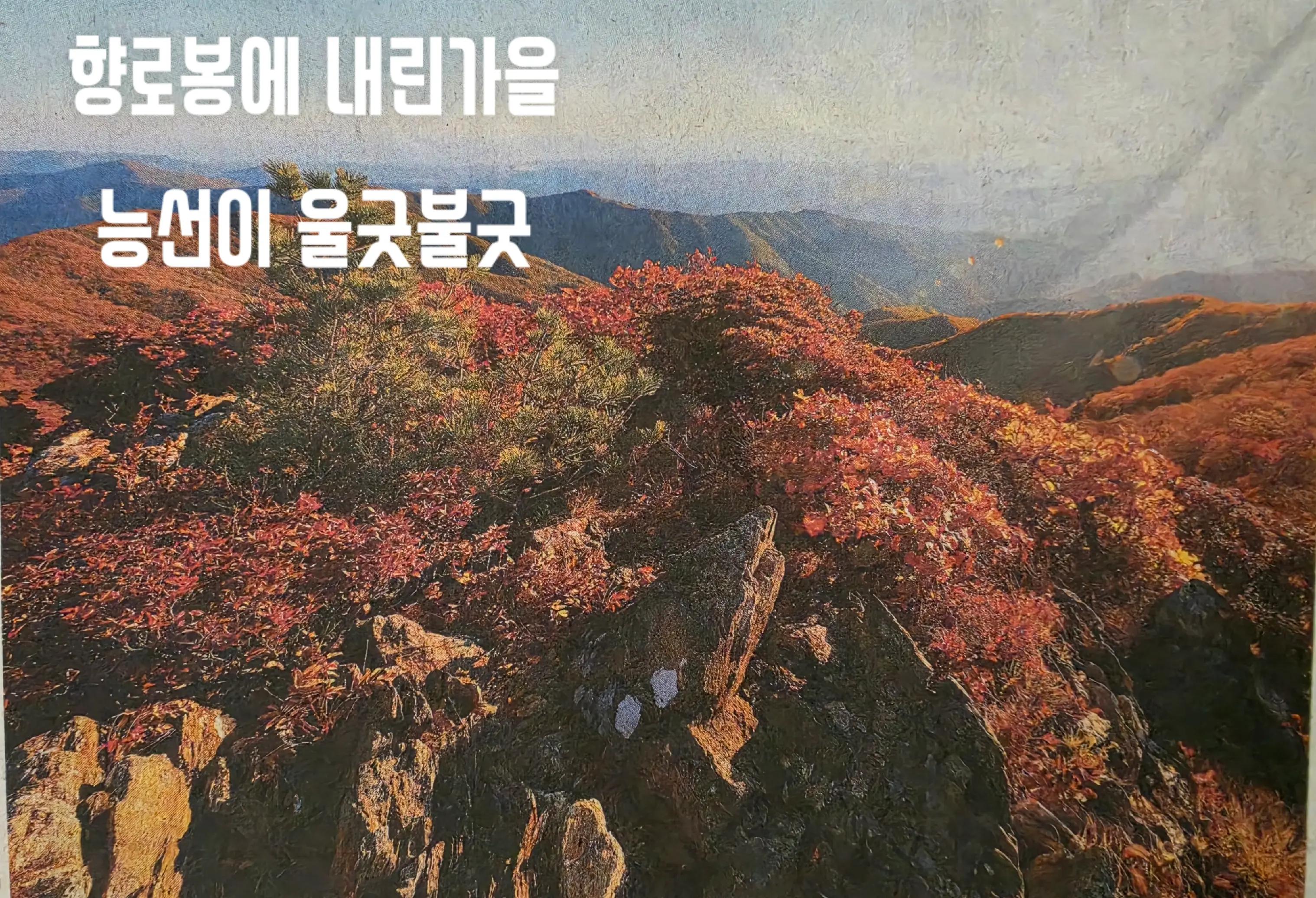 @김동욱802
