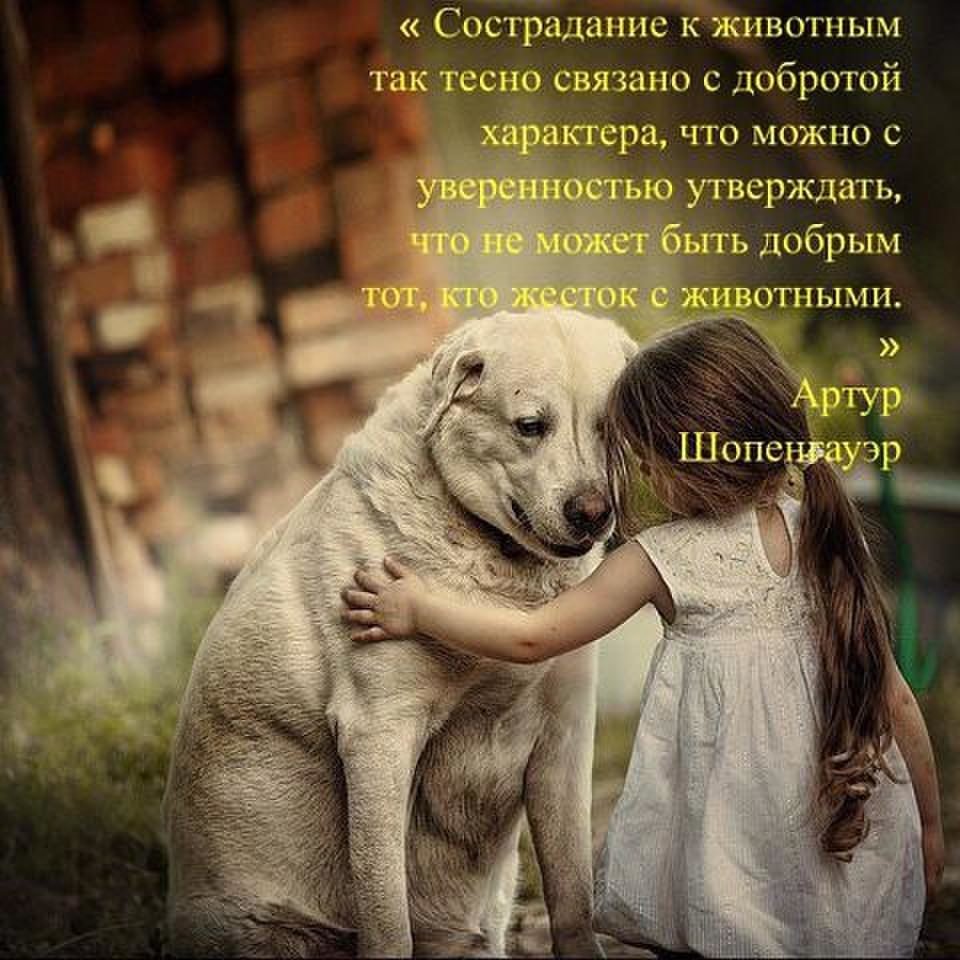 @Людмила Лех