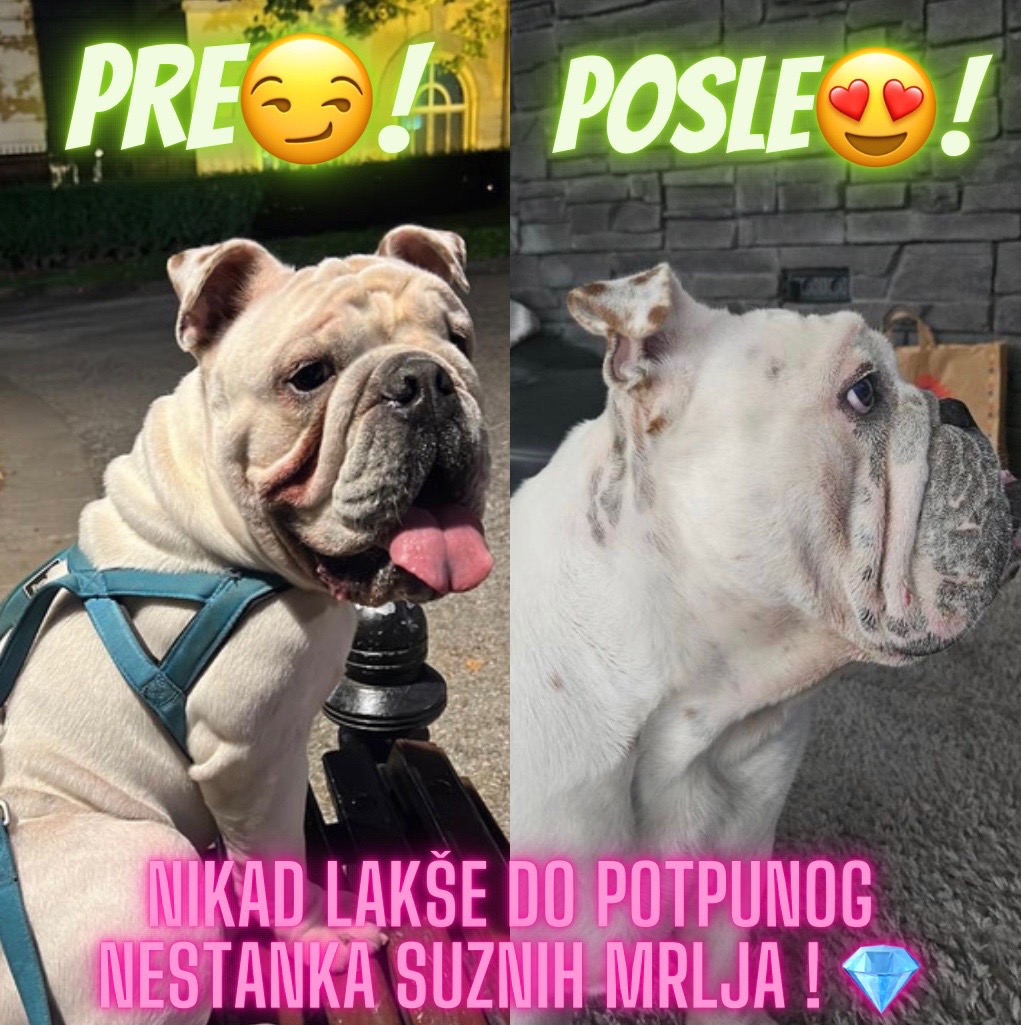 @Petvet