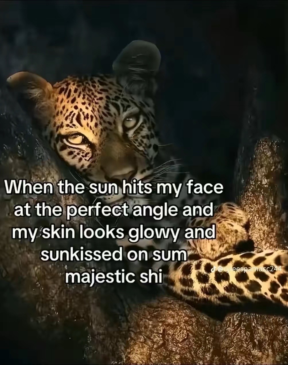@𖦹 *٭ 𓆣 נαу 𓆣٭ * 𖦹