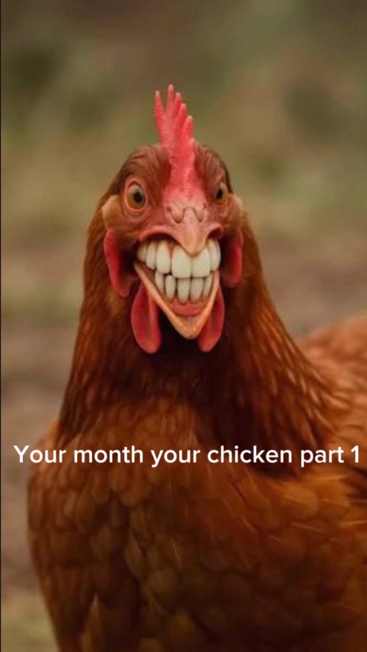@Freeloader