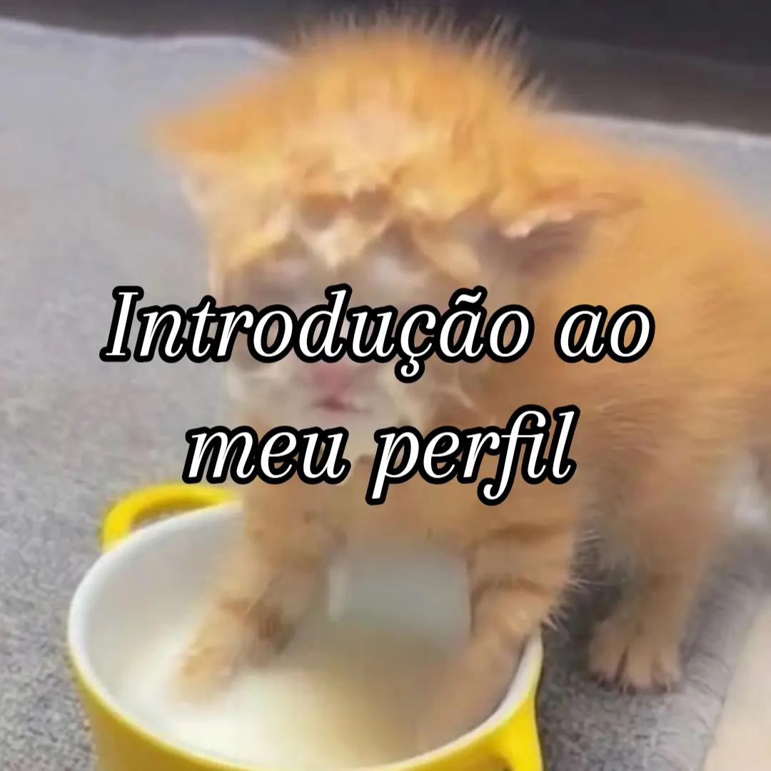 @โจ๐ ๐จ๐๐๐๐๐๐ ๐โจ