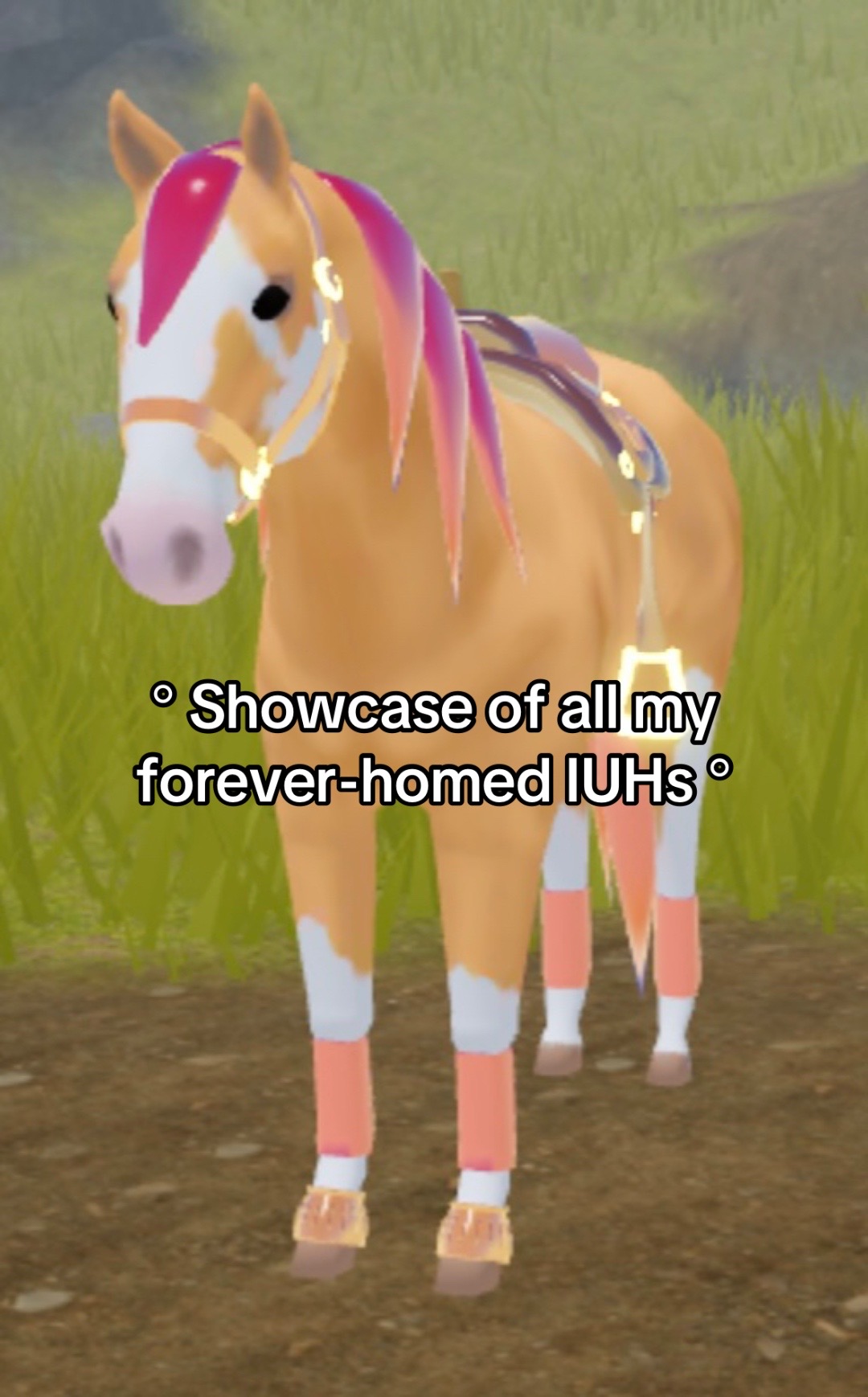 @✧.*𝒥𝑒𝓁𝓁𝓎*.✧
