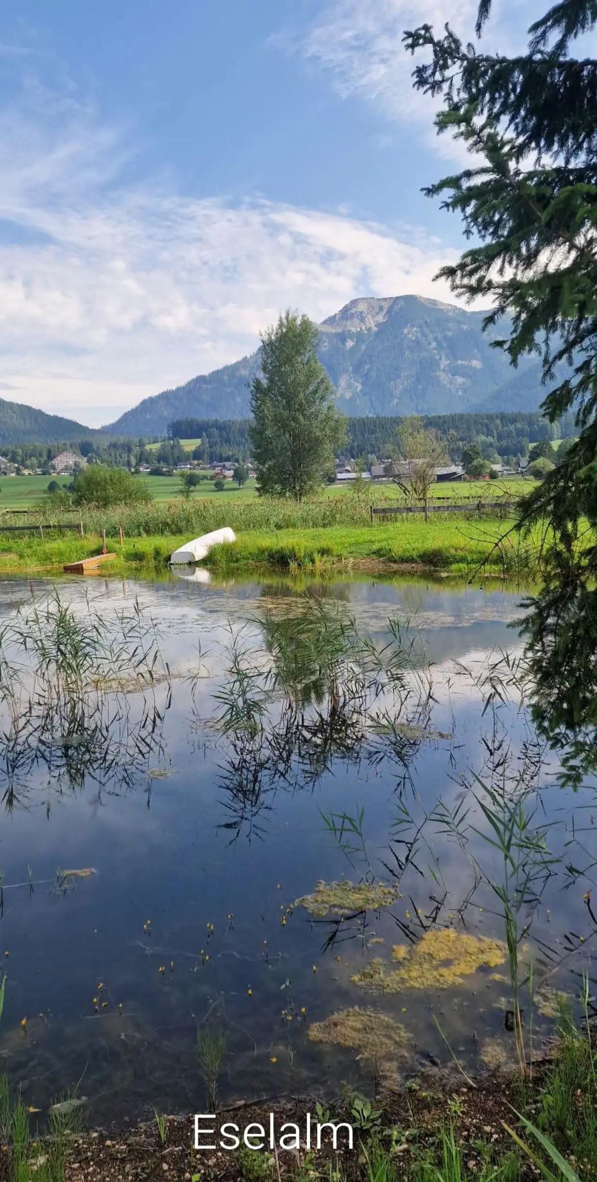 @G&aacute;bor &Aacute;rvai