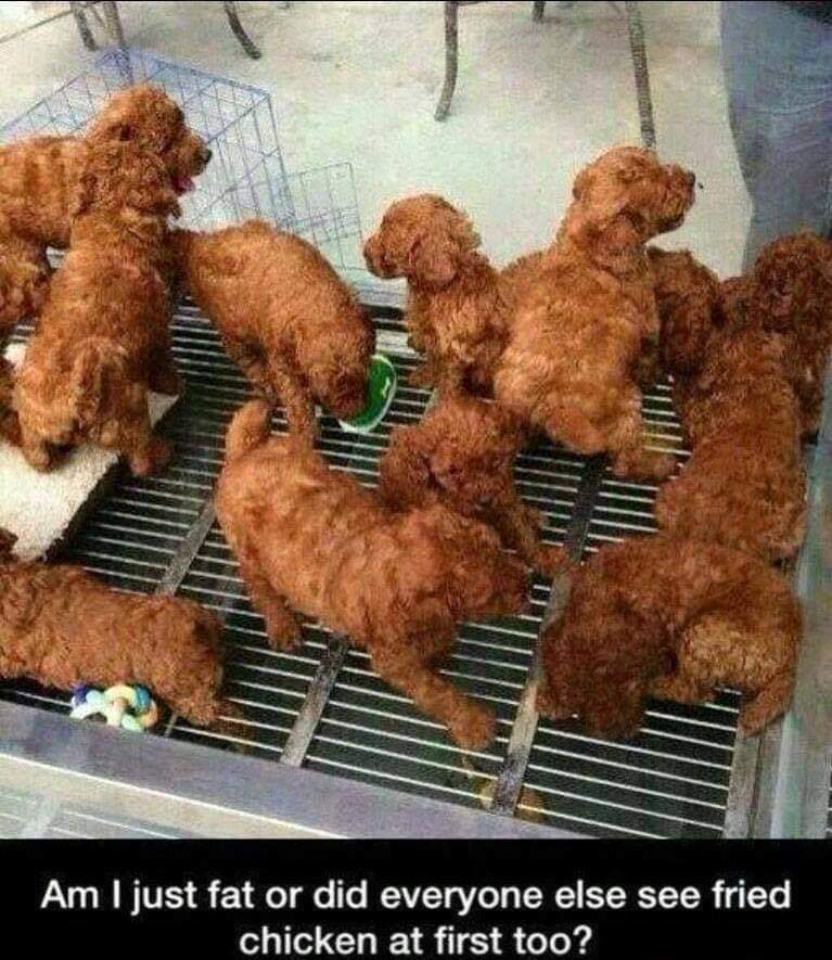 @Lorimac71