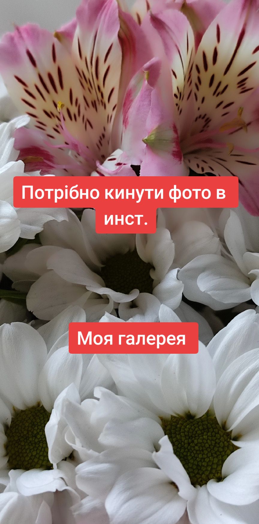 @ПТАШКА