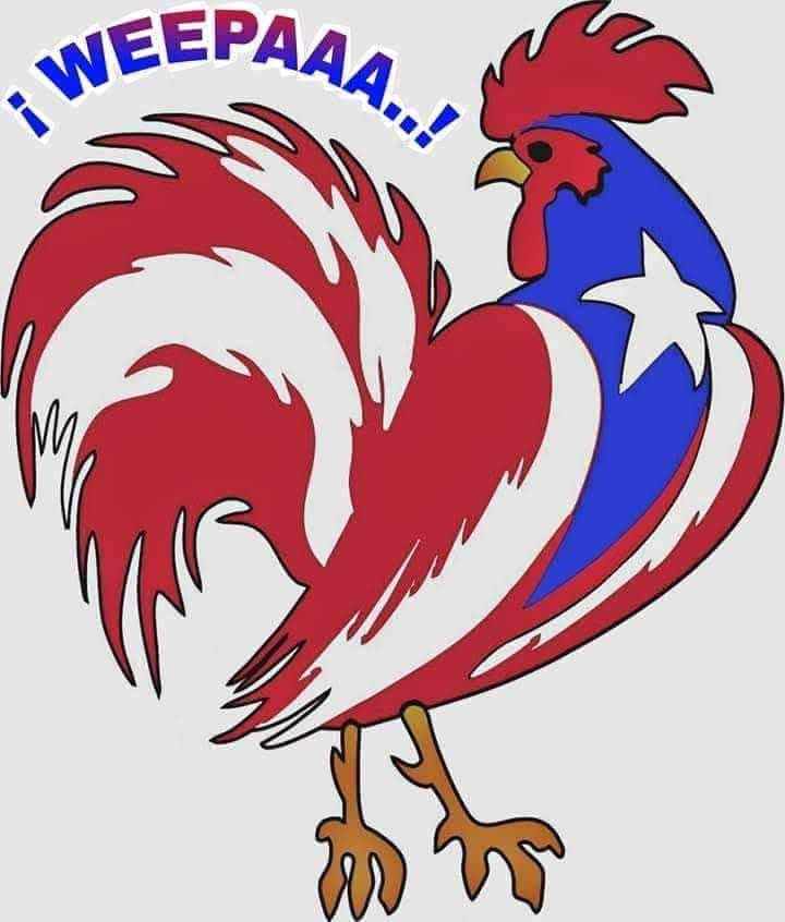 @zoraida 🇵🇷