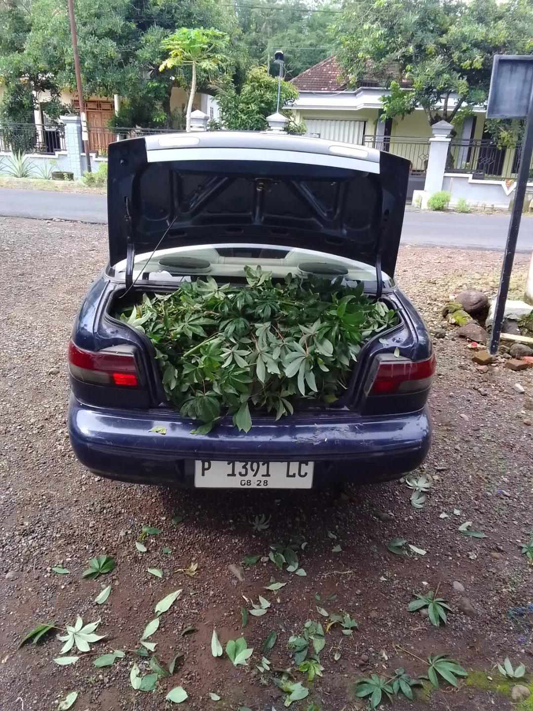 @Kang Fotocopy, ME
