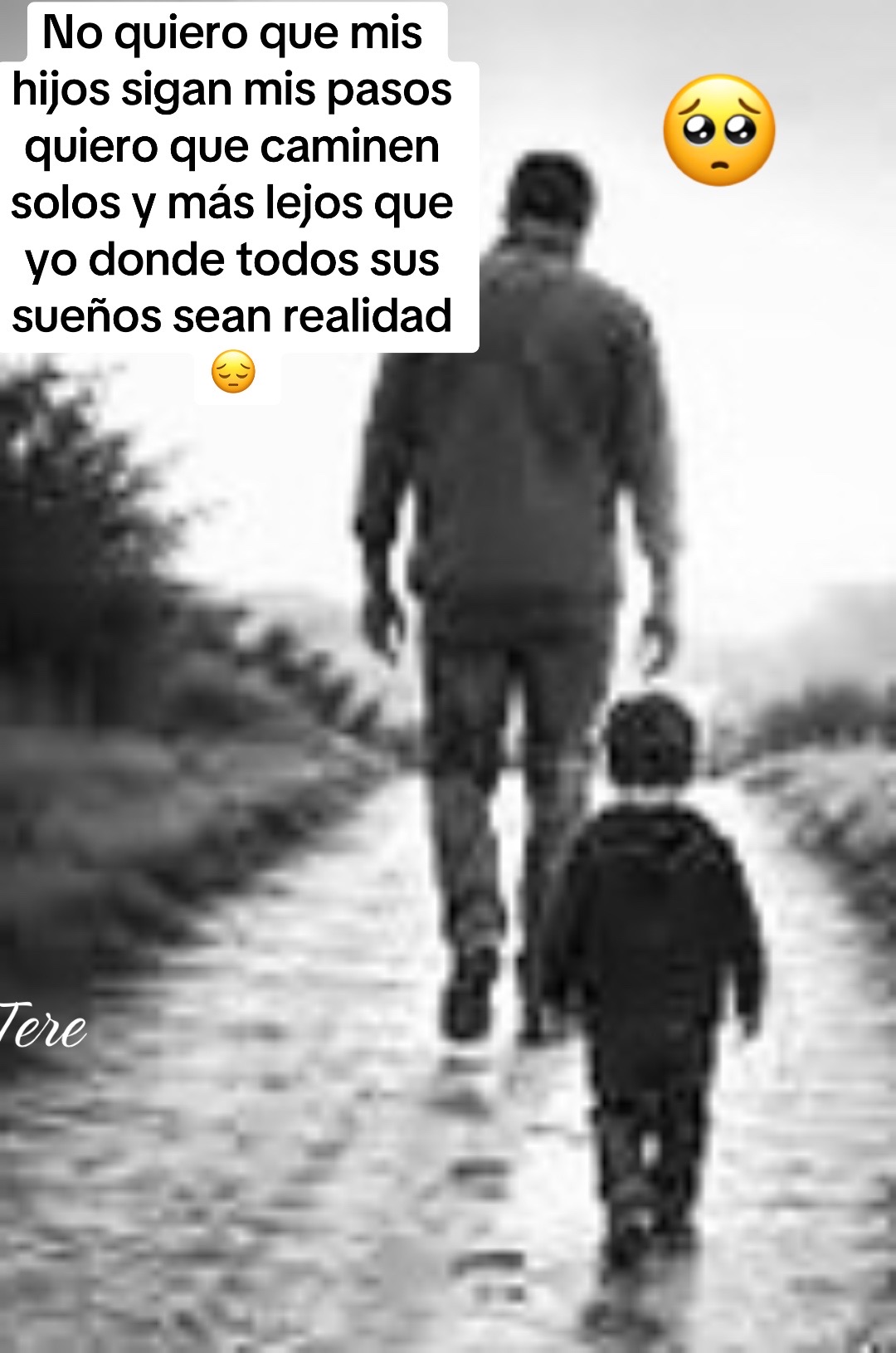 @terecervantes1120