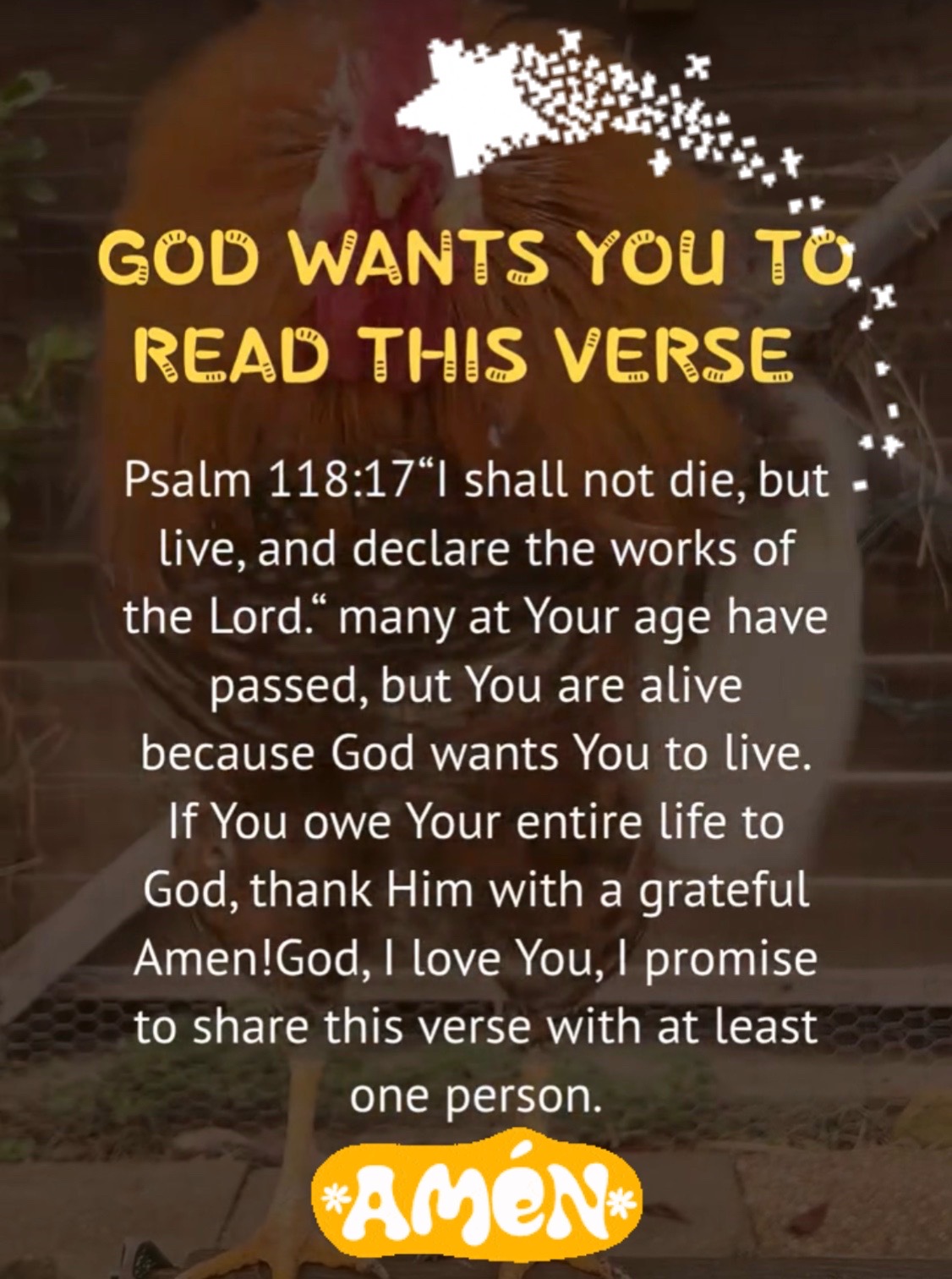 @Praise the Lord 🕊️💕🗯️