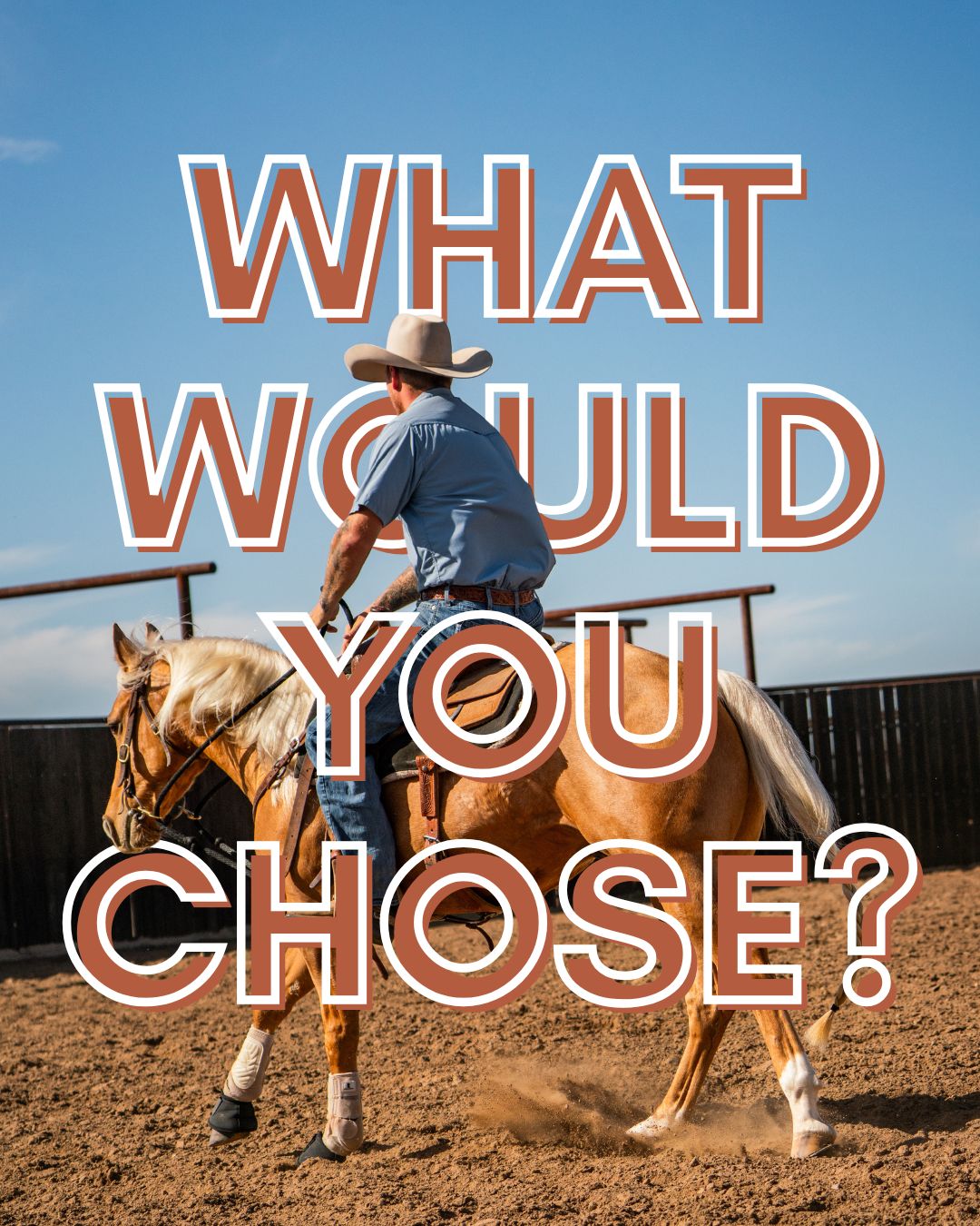 @Big Sky Horse Sales