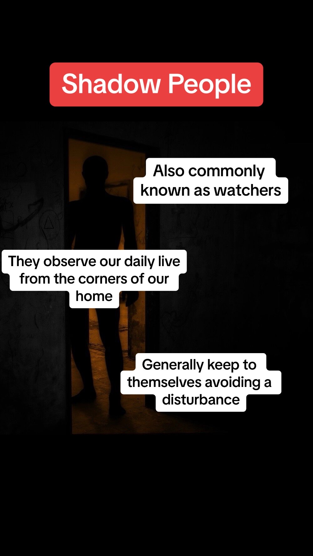 @Dark Media Investigations