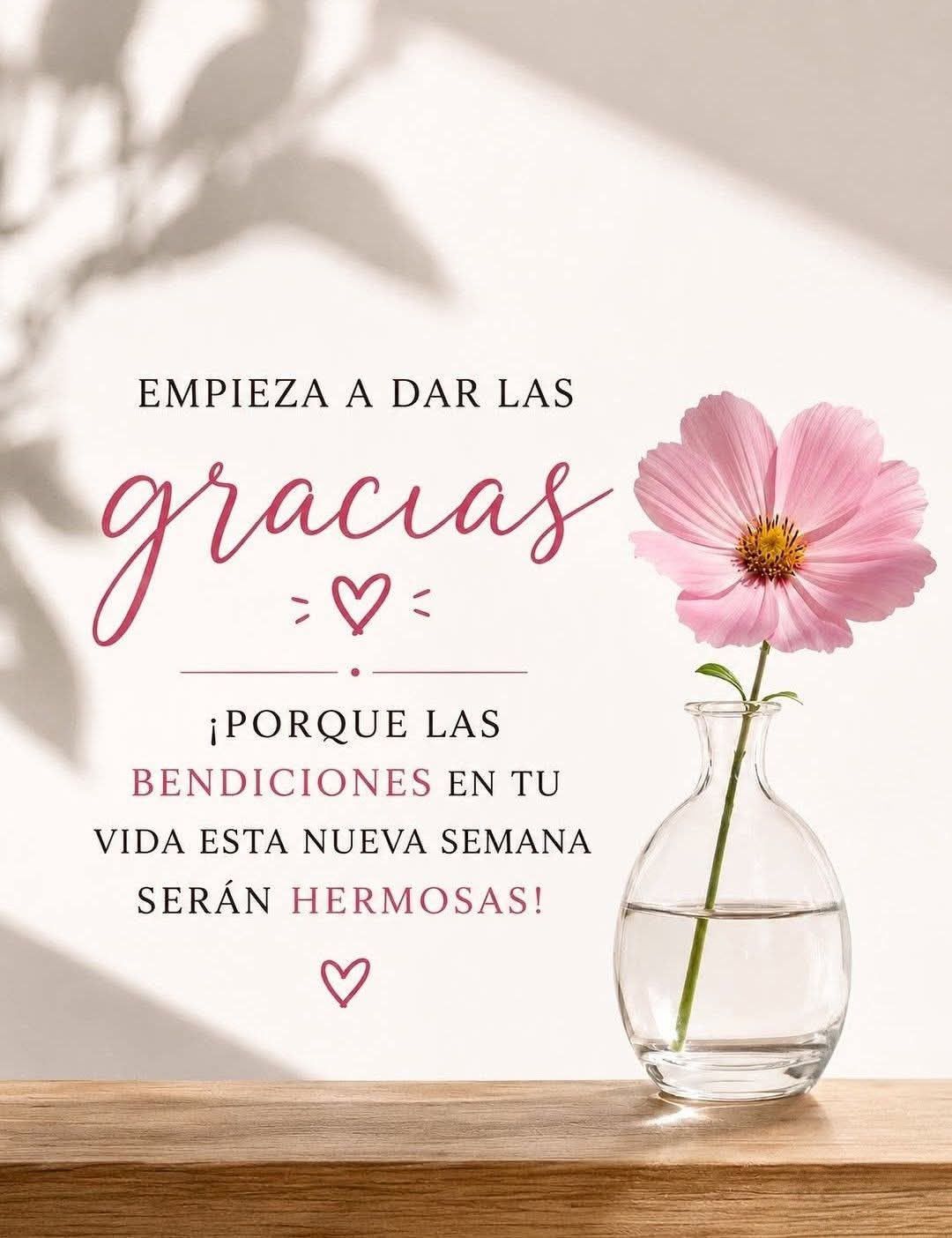 @Isamery Duchi