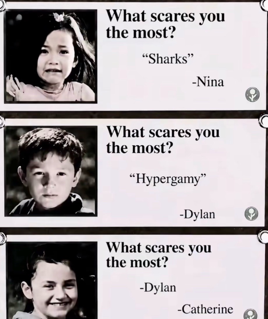 @████████████