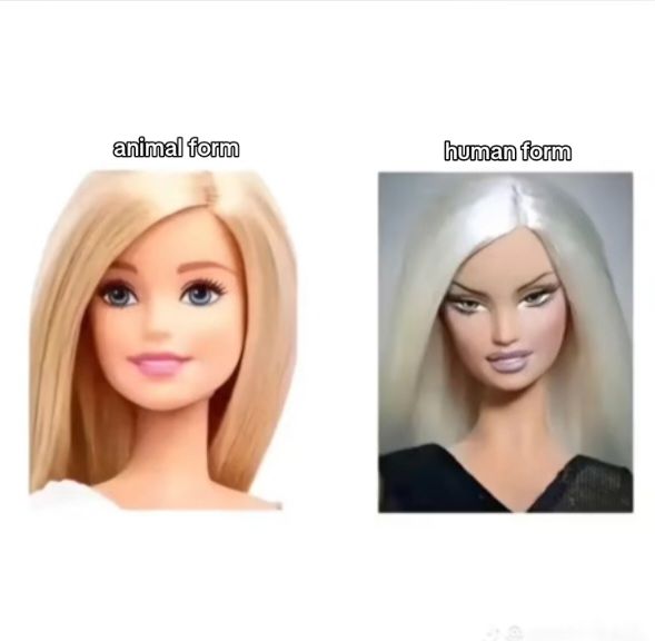 @🧣🐚