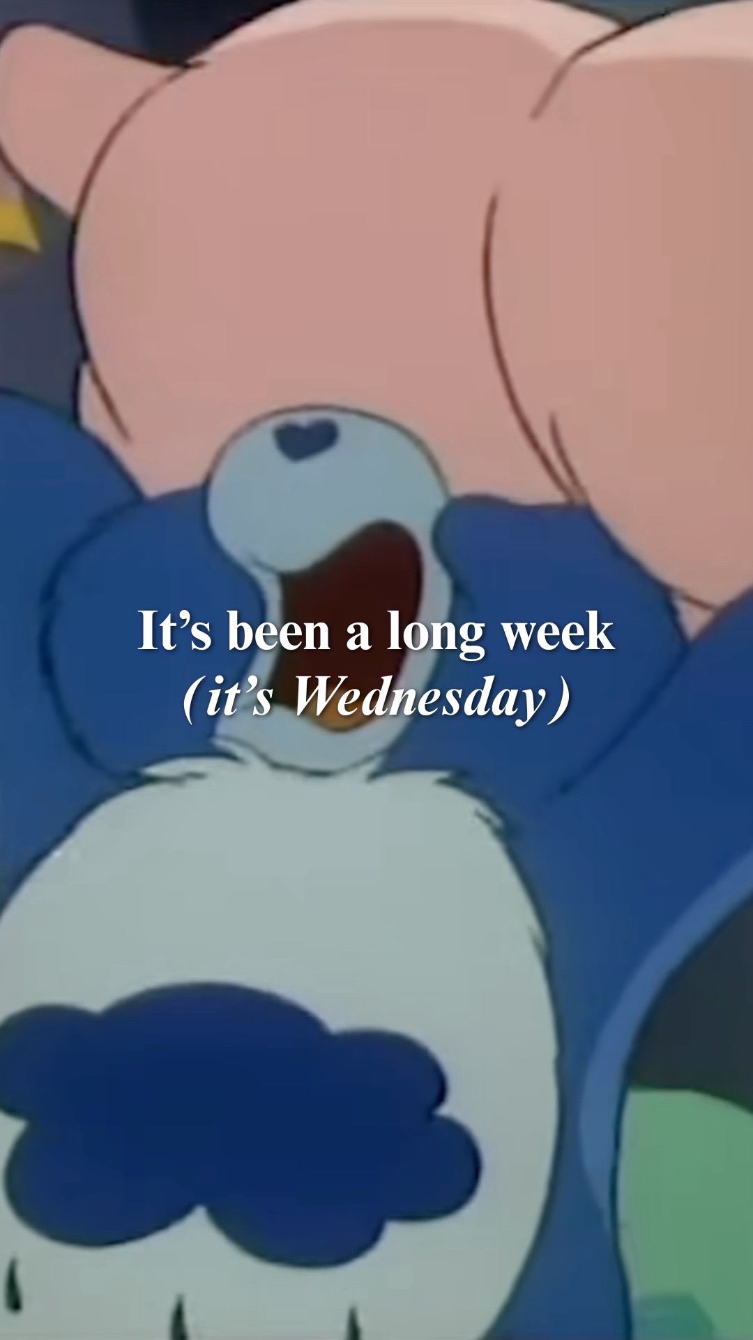 @Care Bears™