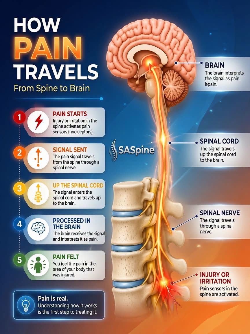 @Dr. Steven Cyr, MD
