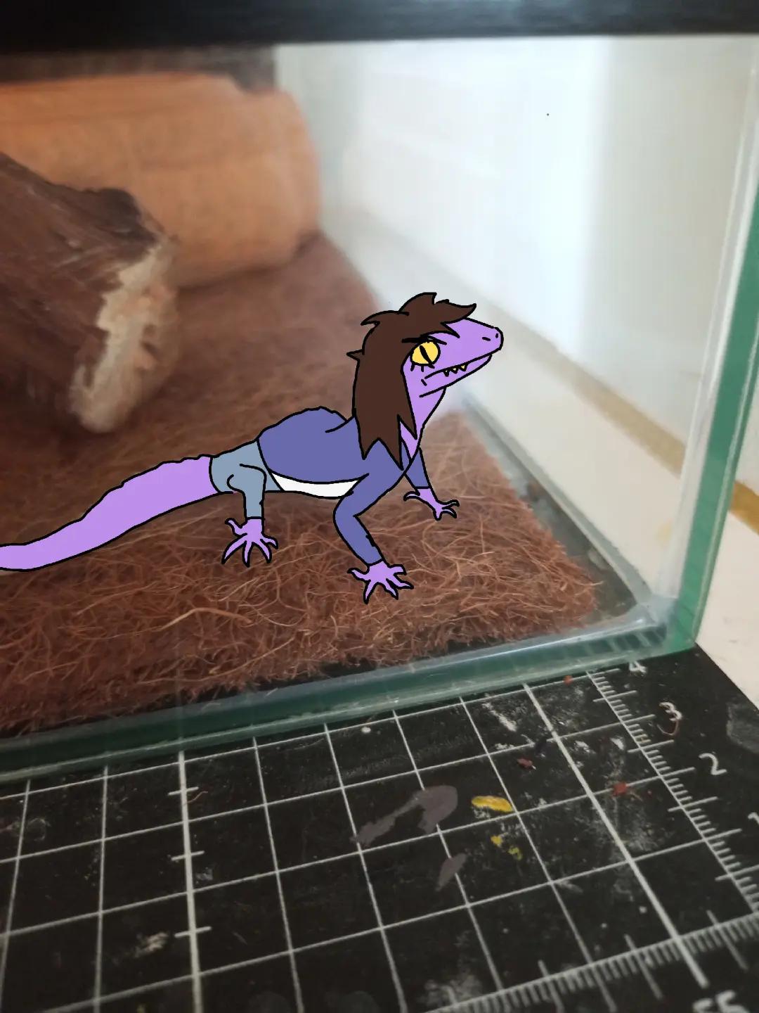 @7\ 𝐙𝐞𝐫𝐚𝐞𝐥 @
