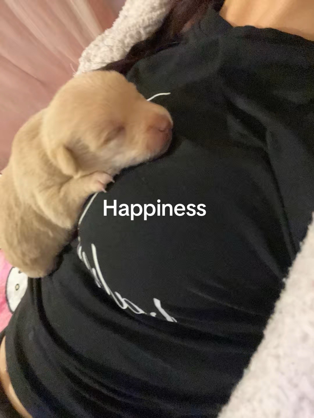 @XoZulmaaXo