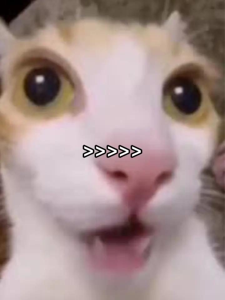 @๐ช๐ฏ๐ช๐ข๐ๆ