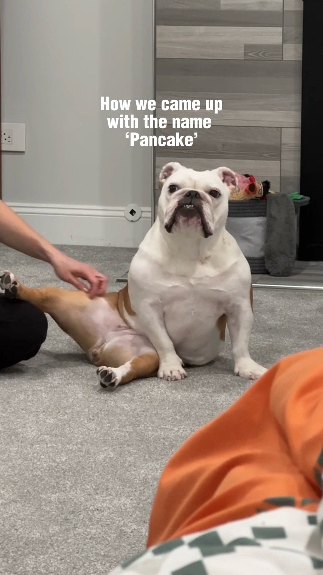 @Pancake 🥞