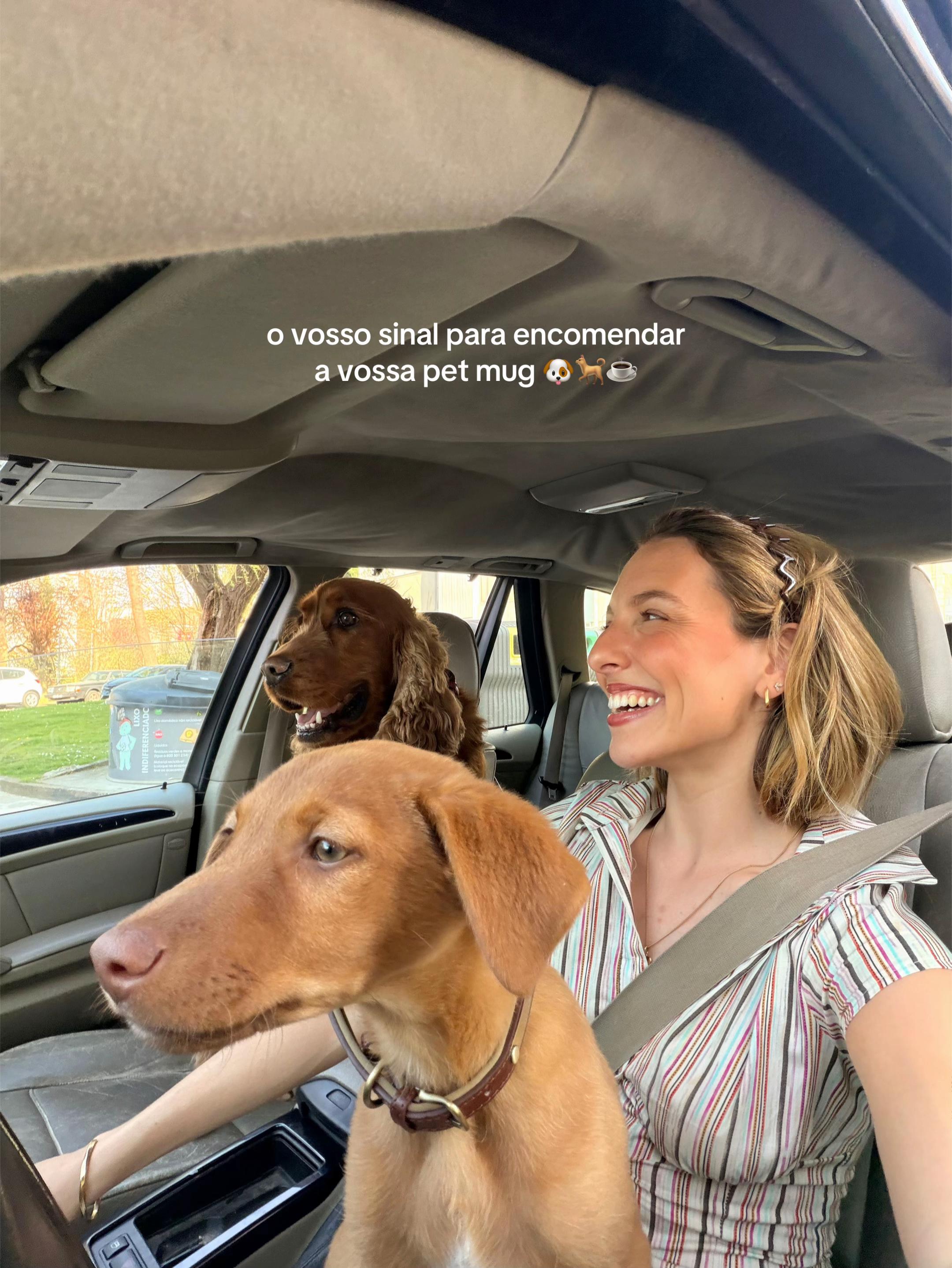 @Sofia Oliveira