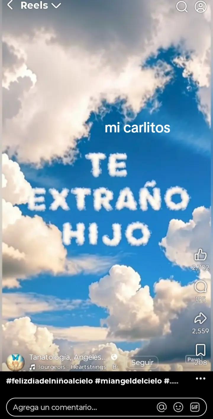 @🐚🐚lizz.rodrguez1