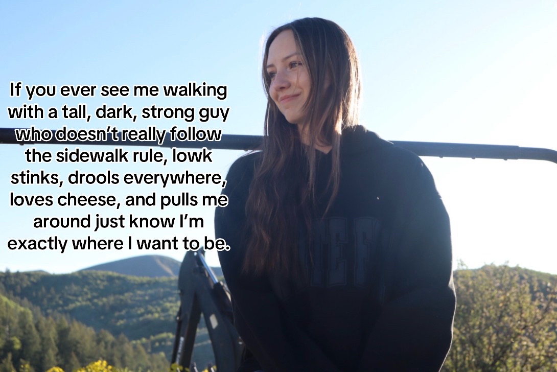 @tess