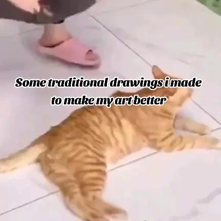 @Ms. Moon yorkie