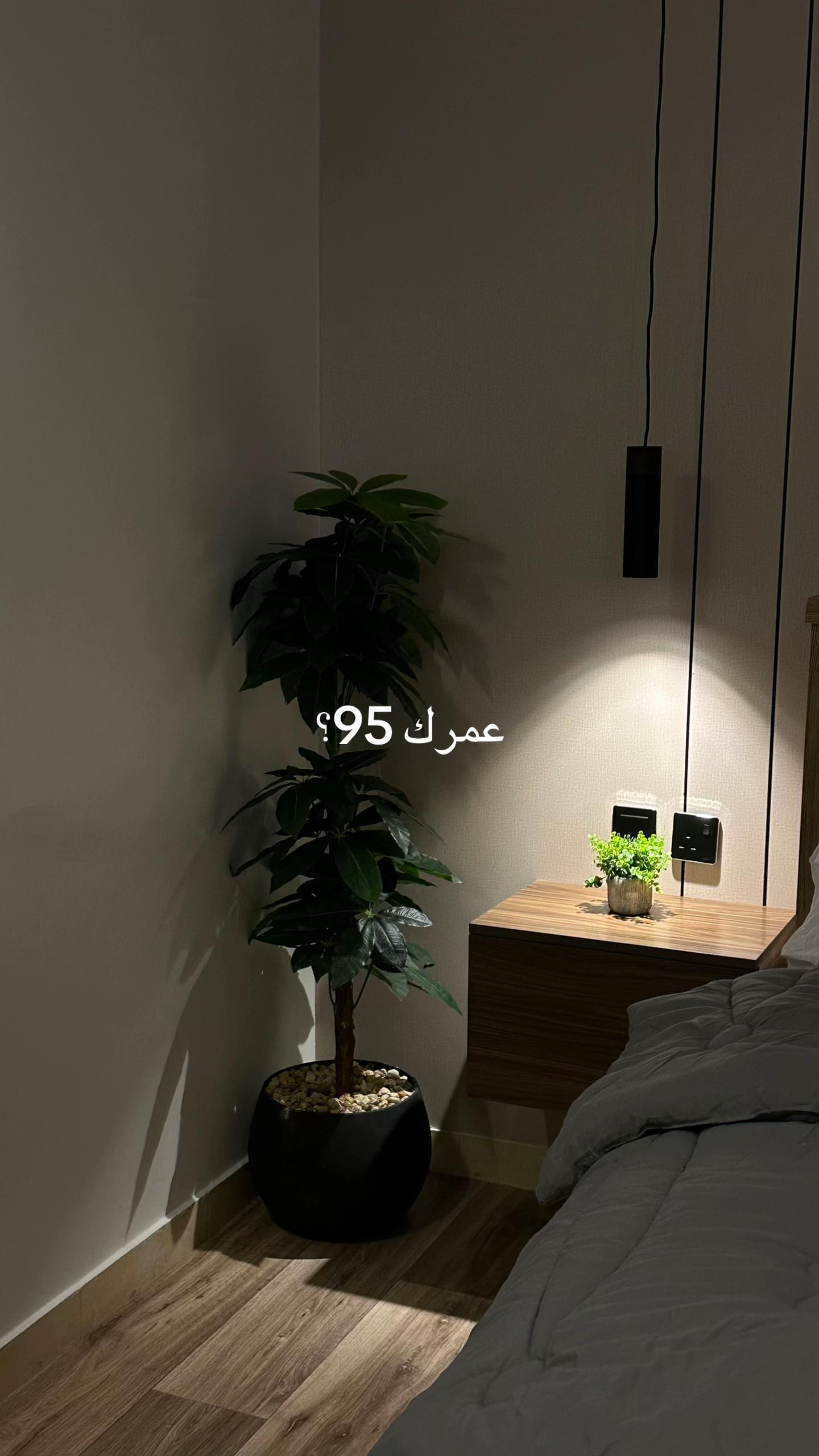 @Peace house / بيس هاوس