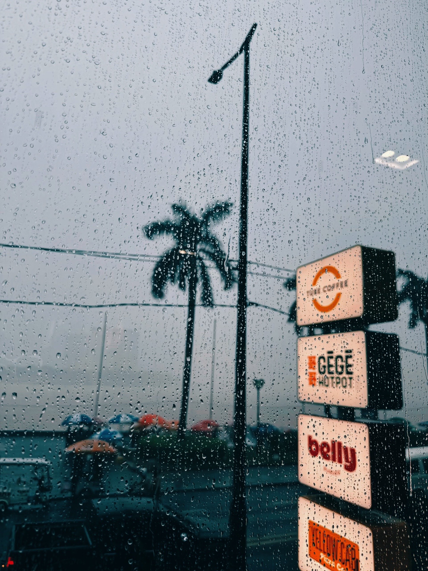 @小冬