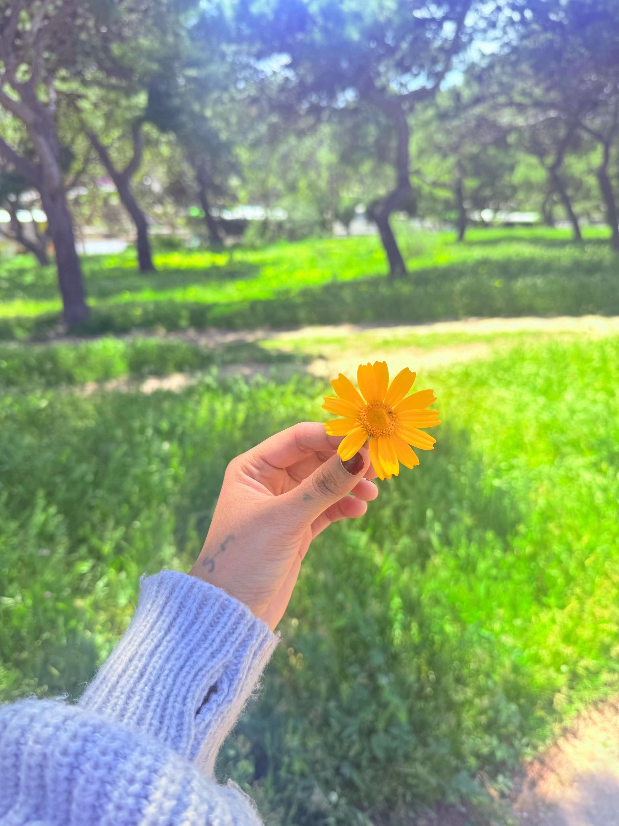 @sush_maaaa.0