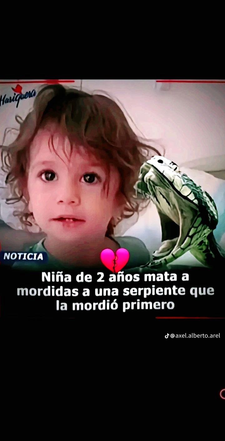 @Manuel-