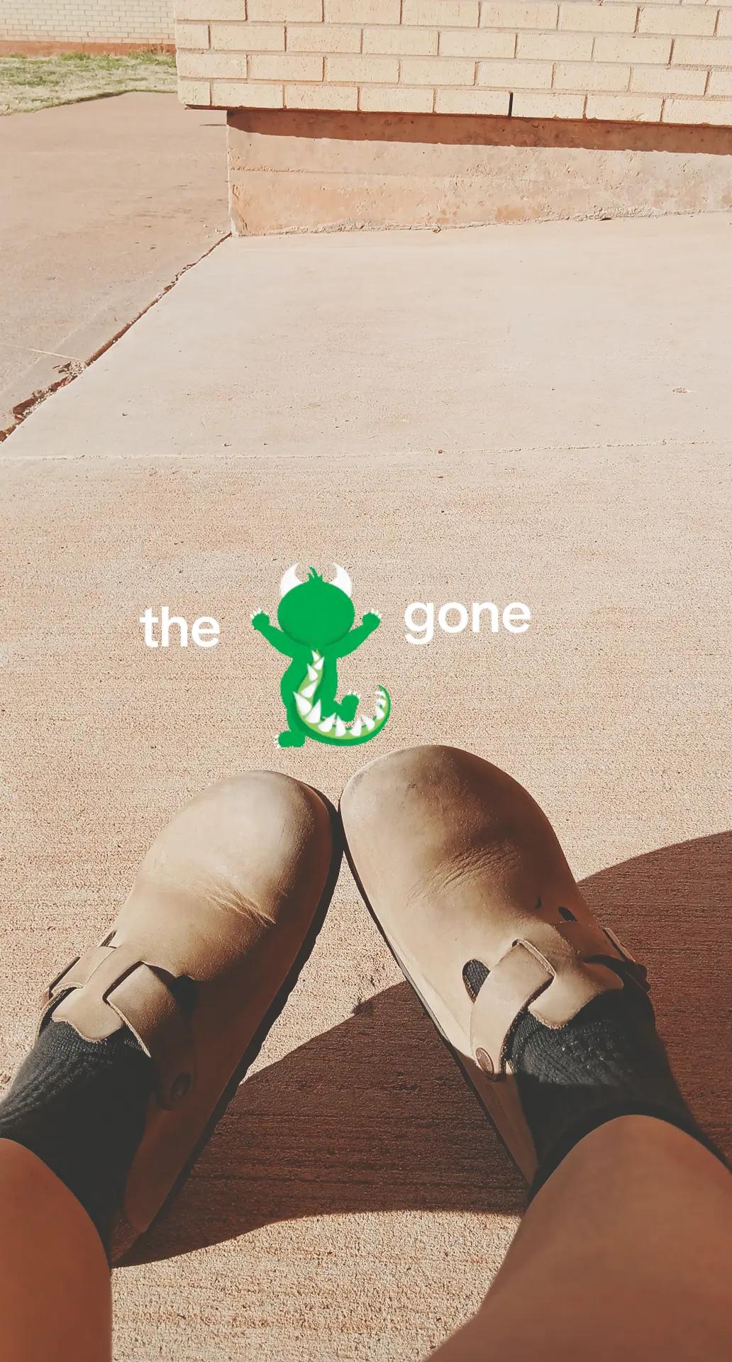 @𝓟ᥫ