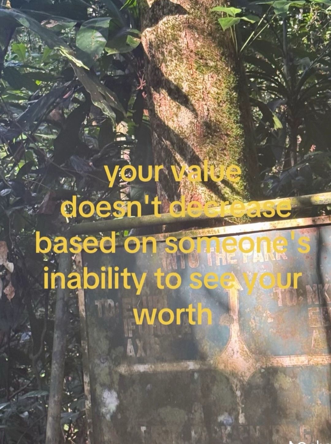 @ñôèłłè