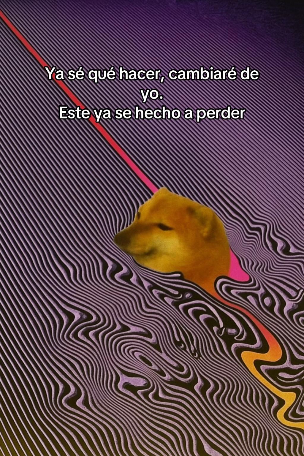 @MALAMIA