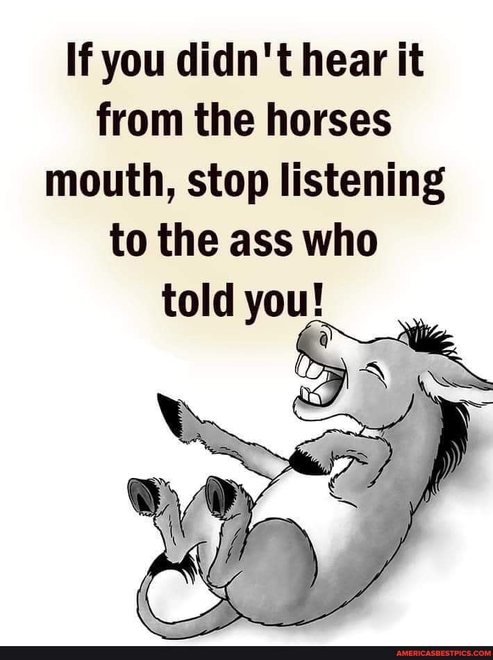 @Big Horse Farm Company LLC