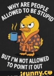 @Scaredbasil1128